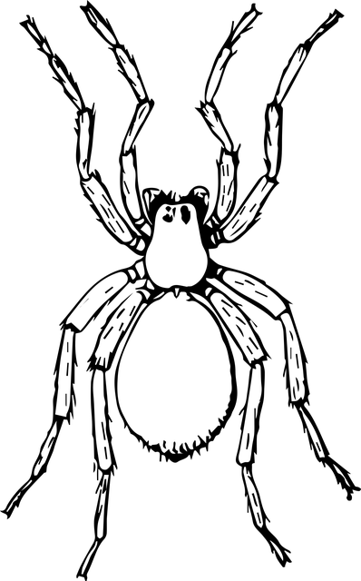 microsoft windows xp networking