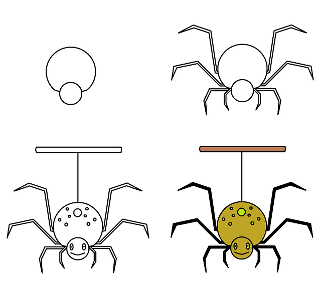 Cómo dibujar a una araña » ARACNIPEDIA